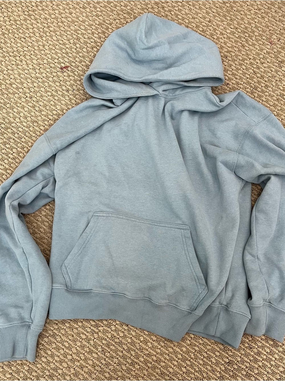 Hollister Fleece-Lined Hoodie in Pale Blue
